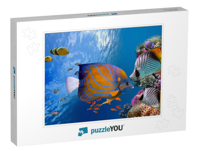 Wonderful & Beautiful Underwater World with Corals & Trop... Jigsaw Puzzle