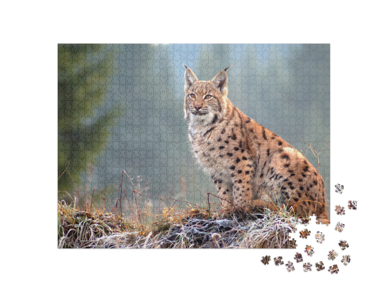 The Eurasian Lynx Lynx Lynx is a Precious Beast of the Sl... Jigsaw Puzzle with 1000 pieces