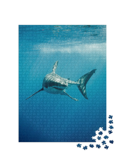 Great White Shark with Its Main Four Fins Swimming Under... Jigsaw Puzzle with 1000 pieces