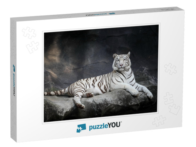 White Tiger... Jigsaw Puzzle