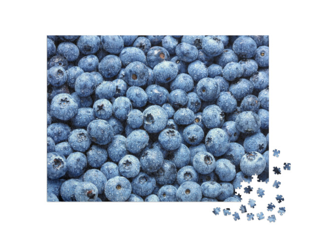 Top View of Fresh Wet Blueberry Fruits as Textured Backgr... Jigsaw Puzzle with 1000 pieces