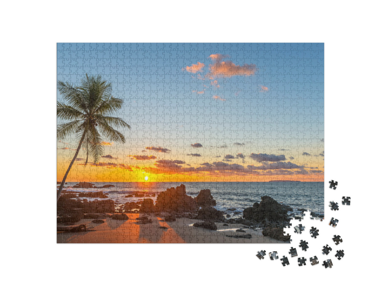 Silhouette of a Palm Tree & a Sand Beach Inside Corcovado... Jigsaw Puzzle with 1000 pieces