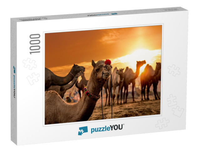 Camels At the Pushkar Fair, Also Called the Pushkar Camel... Jigsaw Puzzle with 1000 pieces