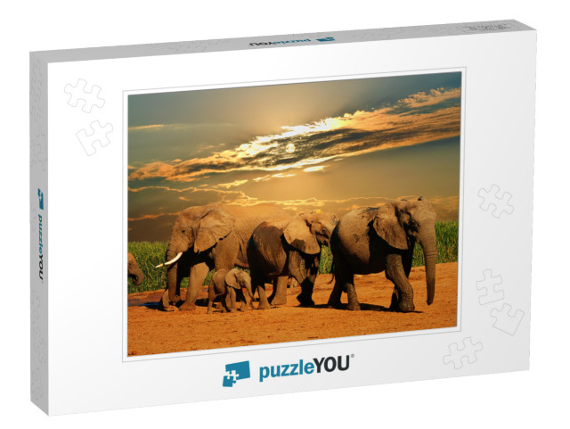 African Elephant Herd, Loxodonta Africana, of Different A... Jigsaw Puzzle