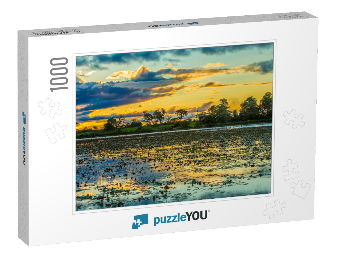 Colorful Sunset in Pantanal, Brazil... Jigsaw Puzzle with 1000 pieces