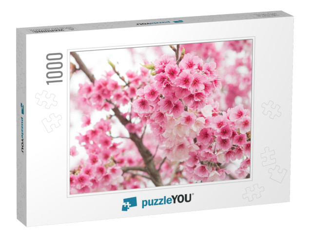 Beautiful Cherry Blossoms Blooming in Yangming Mountain... Jigsaw Puzzle with 1000 pieces