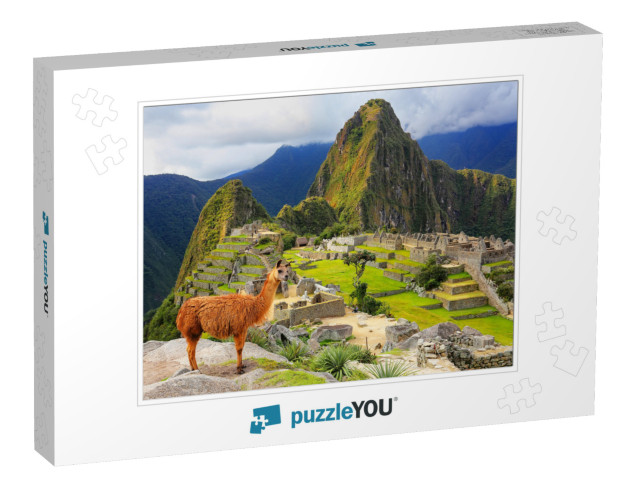 Llama Standing At Machu Picchu Overlook in Peru. in 2007... Jigsaw Puzzle