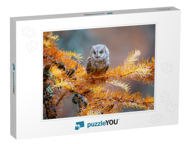 He Eurasian Scops Owl Otus Scops, Also Known as the Europ... Jigsaw Puzzle