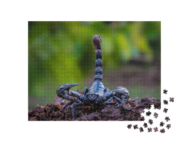 The Black Orc Scorpion, the Deadly Giant Scorpion Searche... Jigsaw Puzzle with 1000 pieces