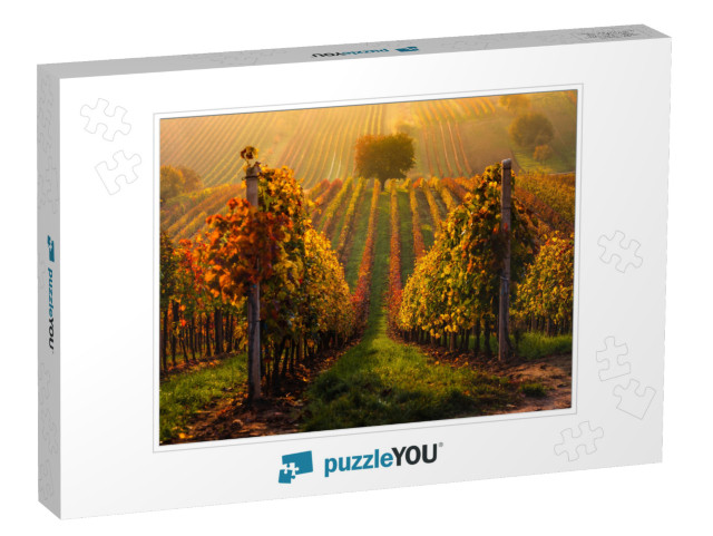 Autumn in Moravian Vineyards Near Velke Bilovice in Czech... Jigsaw Puzzle