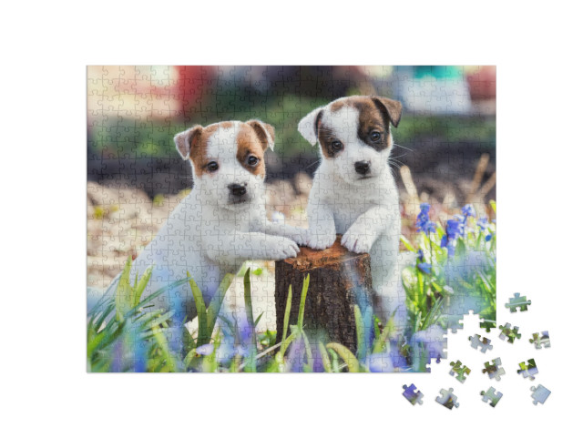 Two White Puppy Jack Russell Terrier Standing on Tree Stu... Jigsaw Puzzle with 500 pieces