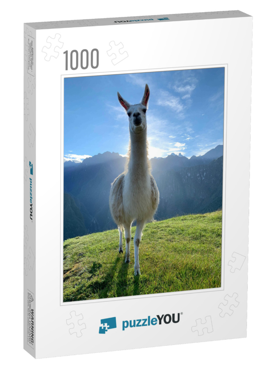 White Llama on Green Grass Lawn Terrace Machu Picchu, Bea... Jigsaw Puzzle with 1000 pieces