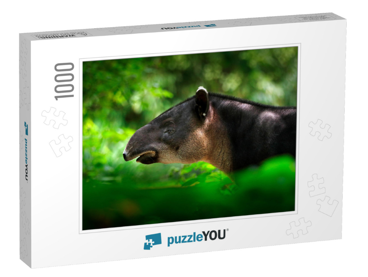 Tapir in Nature. Central America Baird's Tapir, Tapirus B... Jigsaw Puzzle with 1000 pieces