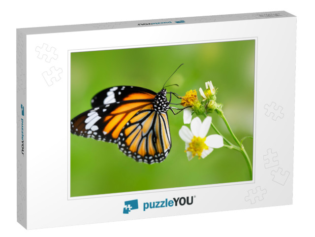 Closeup Butterfly on Flower Common Tiger Butterfly... Jigsaw Puzzle