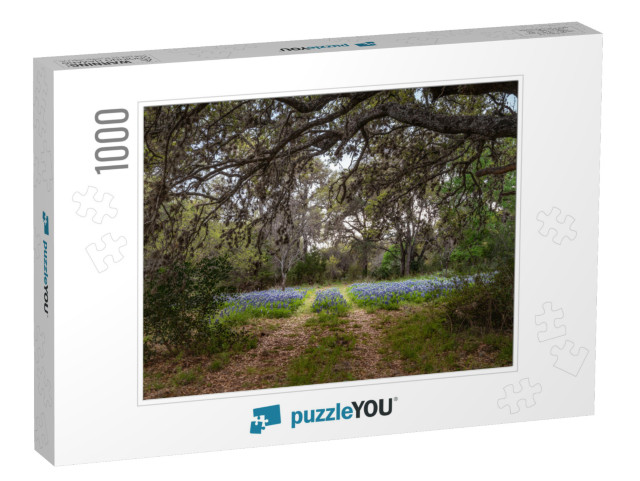 Canopy Pathway Covered with Trees Leading to a Field of T... Jigsaw Puzzle with 1000 pieces