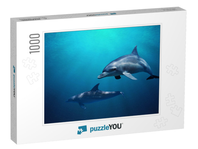 Fantastic Detail in the Deep Clear Blue Water. Two Dolphi... Jigsaw Puzzle with 1000 pieces