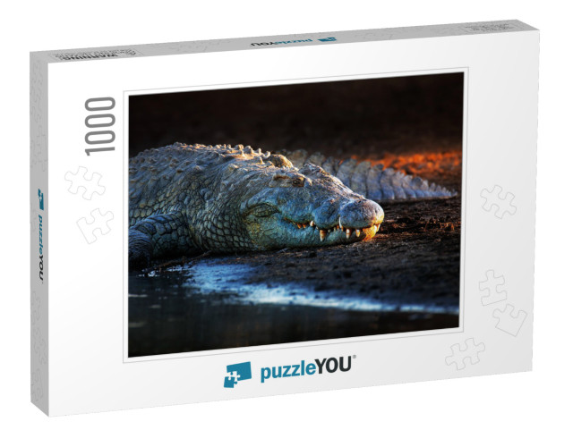 Nile Crocodile Crocodylus Niloticus on Riverbank with Las... Jigsaw Puzzle with 1000 pieces