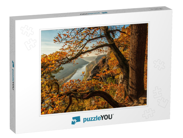 The Elbe in the Elbe Sandstone Mountains Near the Bastei... Jigsaw Puzzle