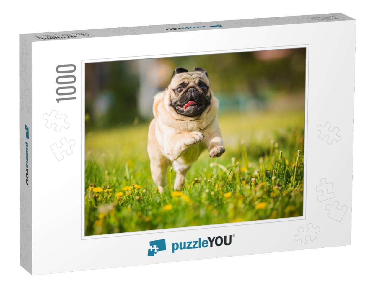 Dog, Pug, Animal, Puppy, Pet, Canine, Cute, Breed, Bulldo... Jigsaw Puzzle with 1000 pieces