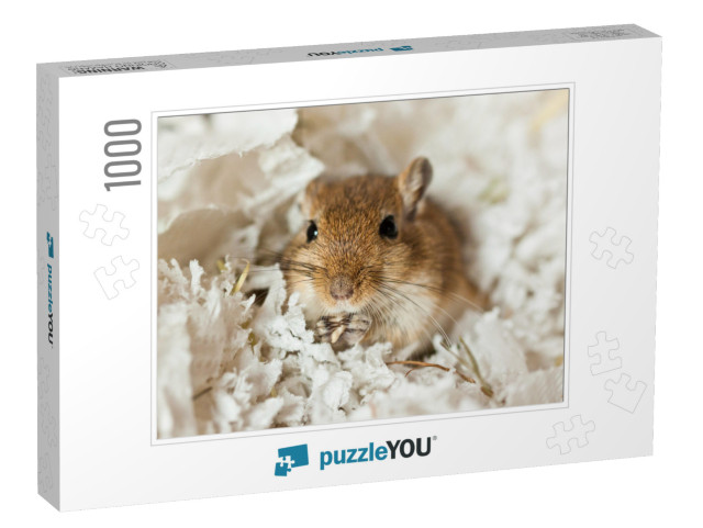 Mongolian Gerbils Meriones as a Pet... Jigsaw Puzzle with 1000 pieces