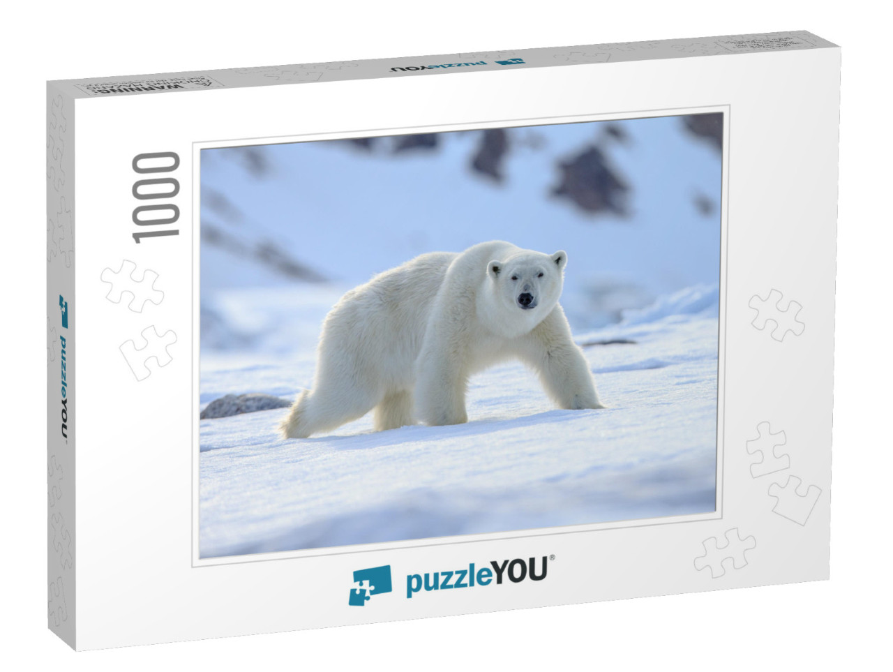 Polar Bear Ursus Maritimus... Jigsaw Puzzle with 1000 pieces