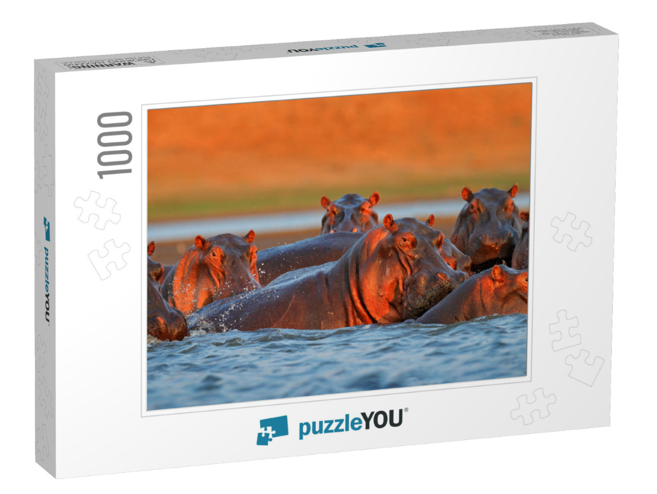 Hippo Head in the Blue Water, African Hippopotamus, Hippo... Jigsaw Puzzle with 1000 pieces