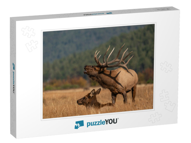 Wild Elk in the West... Jigsaw Puzzle