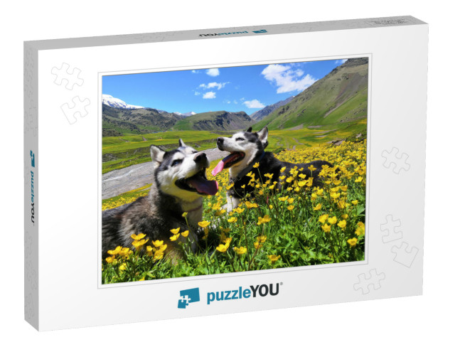 Two Siberian Husky Dogs on a Walk in the Mountains in Sum... Jigsaw Puzzle