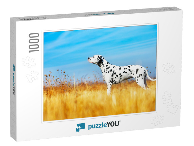 Beautiful Dalmatian Dog in a Field... Jigsaw Puzzle with 1000 pieces