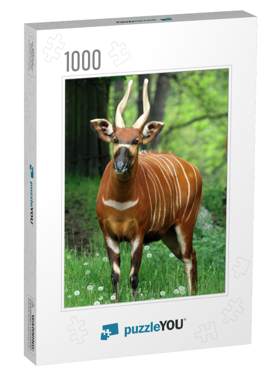 Mountain Bongo Tragelaphus Eurycerus Isaaci Female Portra... Jigsaw Puzzle with 1000 pieces