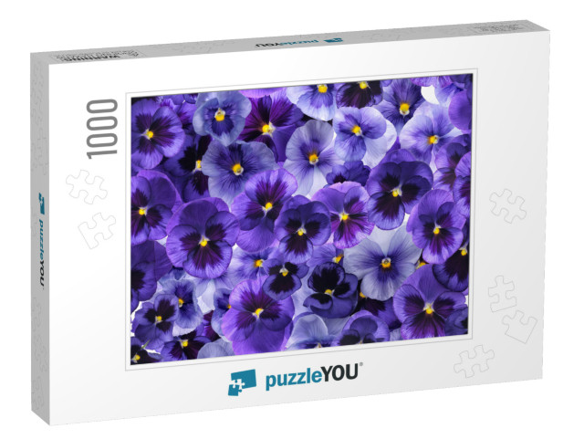 Photographed Fresh Purple Viola Flowers, Covering Complet... Jigsaw Puzzle with 1000 pieces