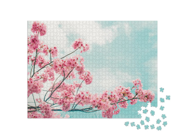 Beautiful Cherry Blossom Sakura in Spring Time Over Blue... Jigsaw Puzzle with 1000 pieces