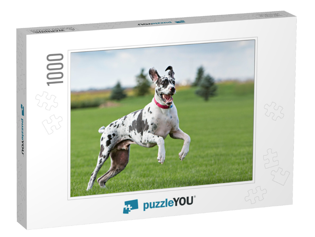 Great Dane Outside in a Yard on Green Grass... Jigsaw Puzzle with 1000 pieces