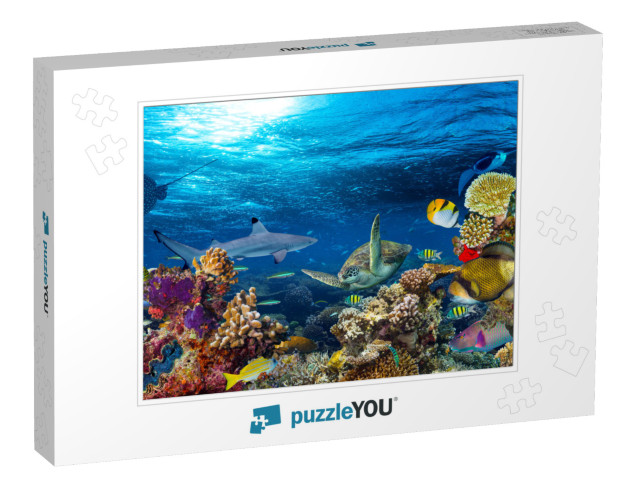 Underwater Coral Reef Landscape 16to9 Background in the D... Jigsaw Puzzle