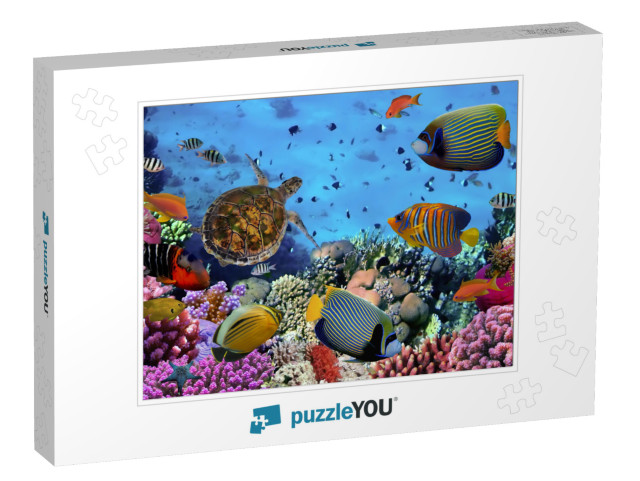 Colorful Coral Reef with Many Fishes & Sea Turtle... Jigsaw Puzzle