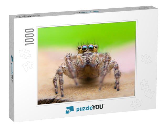 Super Macro Image of Jumping Spider Salticidae At High Ma... Jigsaw Puzzle with 1000 pieces