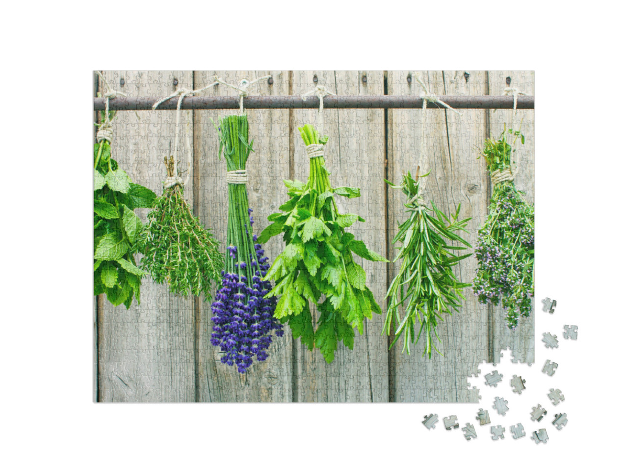 Various Fresh Herbs Hanging in Bundle on a Rod to Dry... Jigsaw Puzzle with 1000 pieces