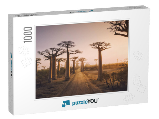 Beautiful Baobab Trees At Sunset At the Avenue of the Bao... Jigsaw Puzzle with 1000 pieces