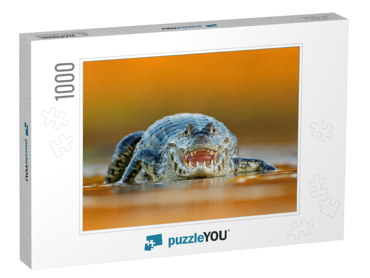 Yacare Caiman, Crocodile with Open Muzzle with Big Teeth... Jigsaw Puzzle with 1000 pieces