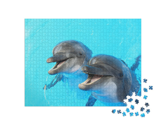 Two Dolphins Swim in the Pool... Jigsaw Puzzle with 1000 pieces