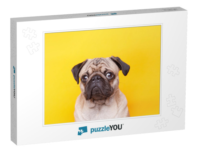 Portrait of Adorable, Happy Dog of the Pug Breed. Cute Sm... Jigsaw Puzzle