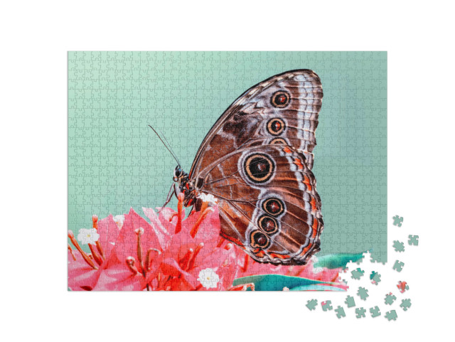 Macro Shots, Beautiful Nature Scene. Closeup Beautiful Bu... Jigsaw Puzzle with 1000 pieces