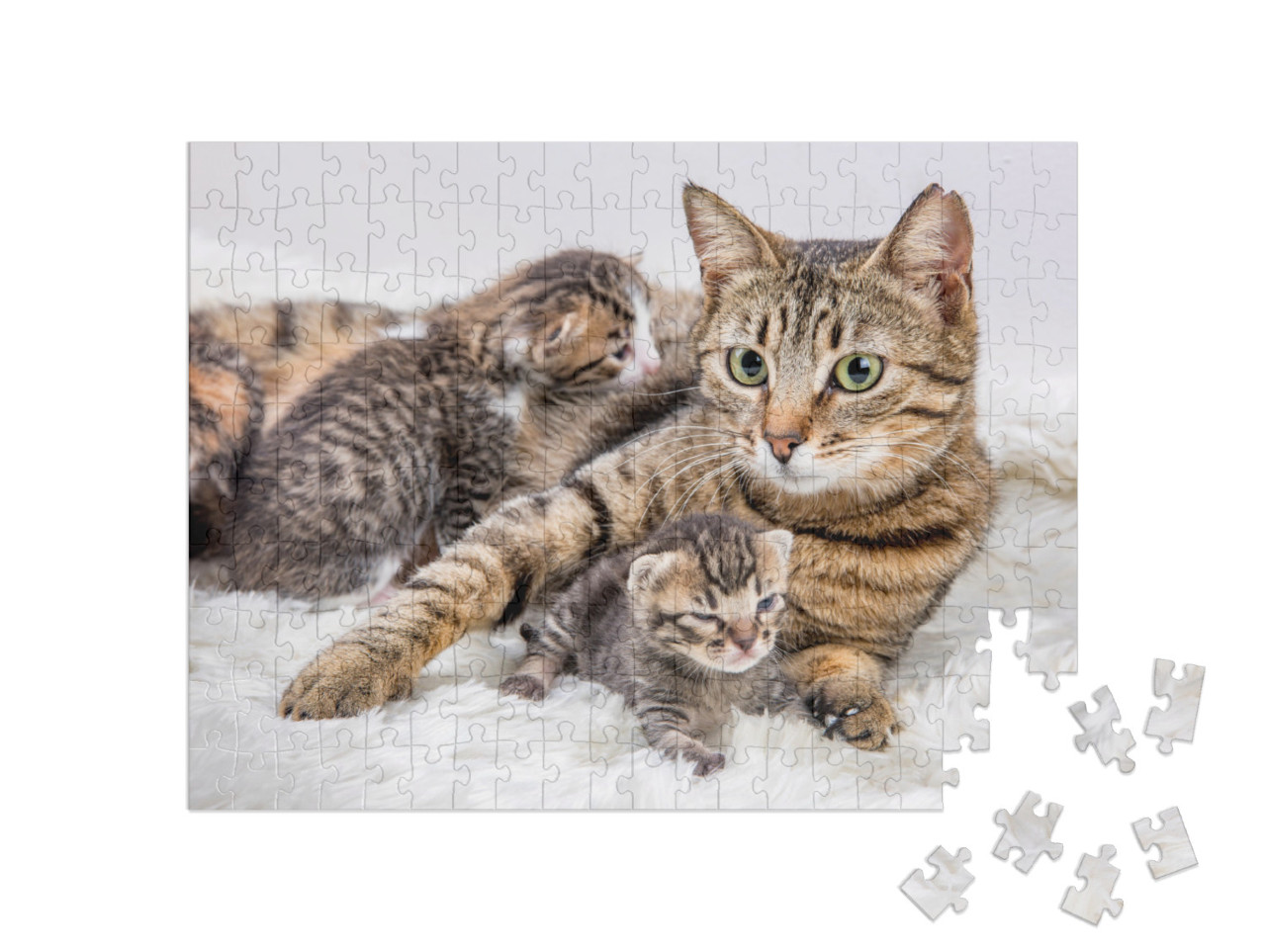 Mom Mother Cat & Baby Cat Kitten... Jigsaw Puzzle with 200 pieces