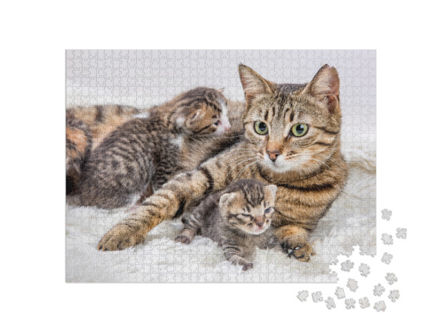 Mom Mother Cat & Baby Cat Kitten... Jigsaw Puzzle with 1000 pieces