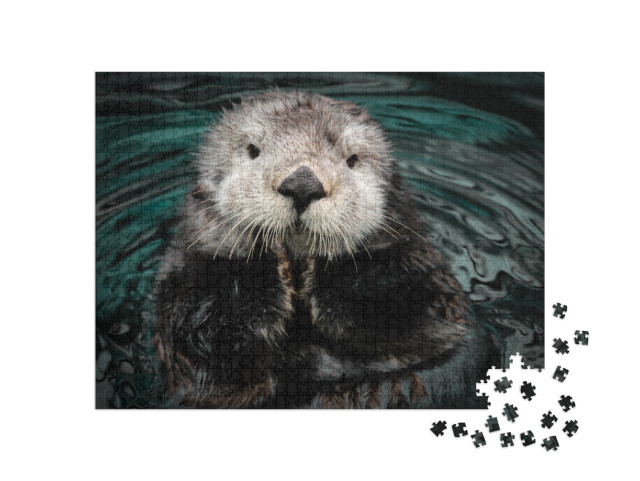 Sea Otter Posing in the Water... Jigsaw Puzzle with 1000 pieces