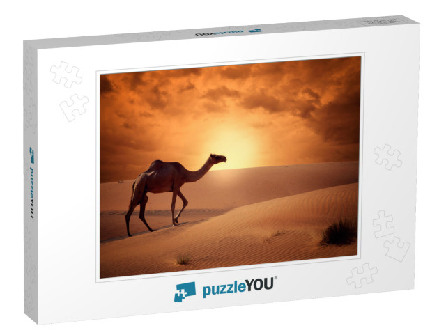 Camel Crossing the Desert in Sunrise Time Beautiful Conce... Jigsaw Puzzle