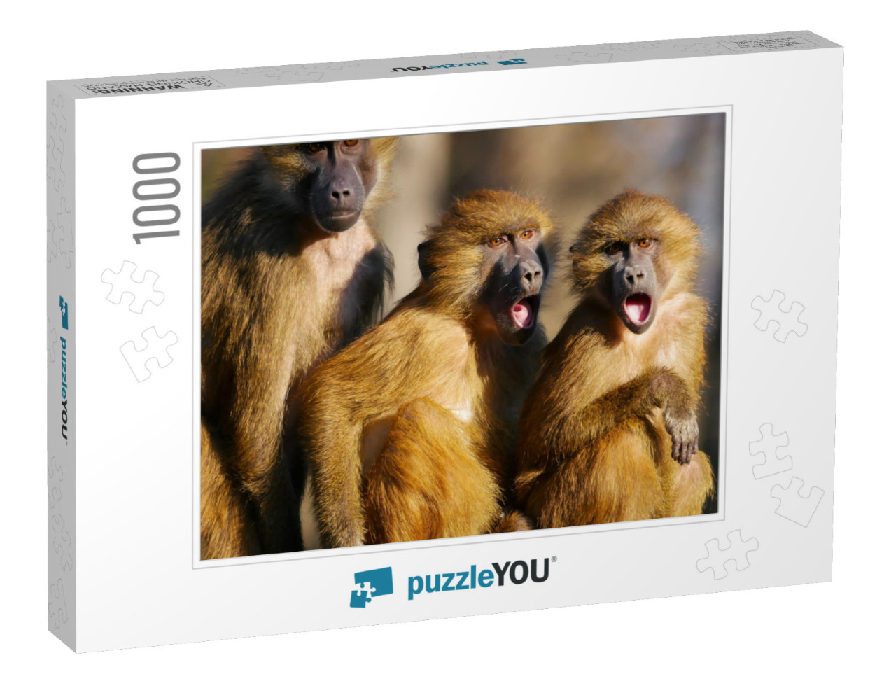 Baboons Family. Three Baboons Funny Expression... Jigsaw Puzzle with 1000 pieces