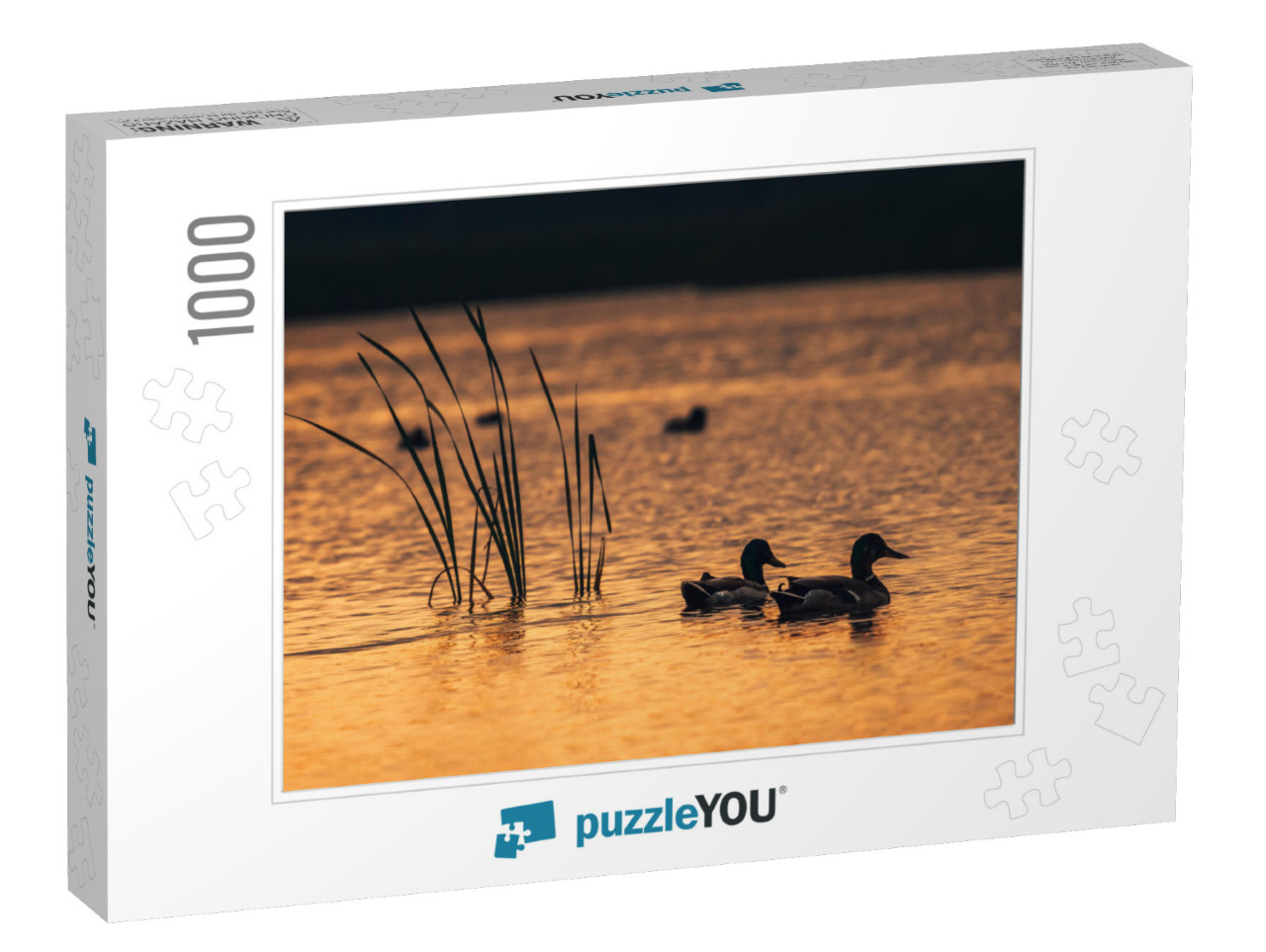 Silhouette Look on the Ducks in the Lake Water During the... Jigsaw Puzzle with 1000 pieces