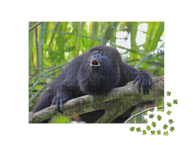 Black or Guatemalan Howler Monkey, Alouatta Pigra or Cara... Jigsaw Puzzle with 1000 pieces