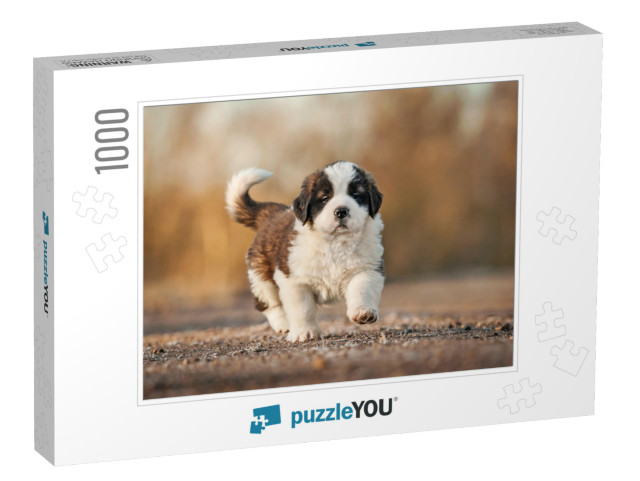 Saint Bernard Puppy... Jigsaw Puzzle with 1000 pieces